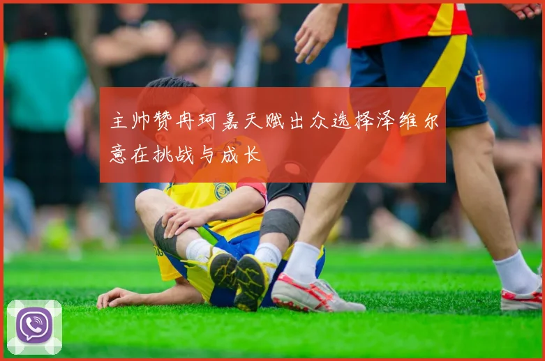 主帅赞冉珂嘉天赋出众选择泽维尔意在挑战与成长