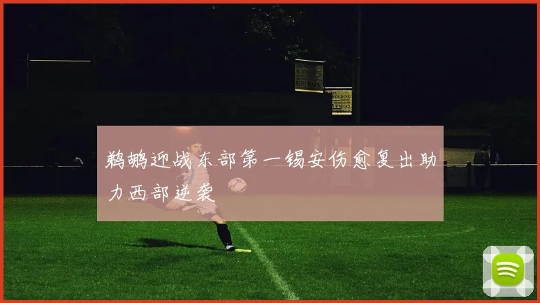 鹈鹕迎战东部第一锡安伤愈复出助力西部逆袭